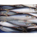 Precios baratos Fisherel Fish 100-200g a la venta